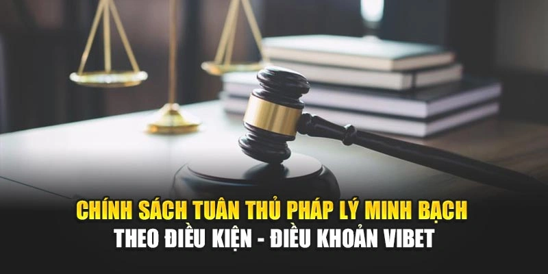 Chính sách tuân thủ pháp lý minh bạch theo điều kiện - điều khoản Vibet