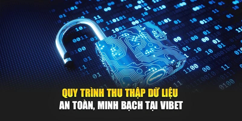 Quy trình thu thập dữ liệu an toàn, minh bạch tại Vibet