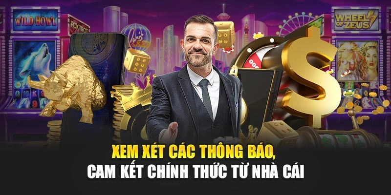 Xem xét các thông báo, cam kết chính thức từ nhà cái